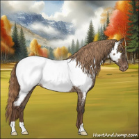Horse Color:Liver Red Dun Appaloosa Brindle 