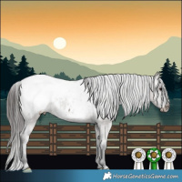 Horse Color:Grullo Appaloosa Brindle 