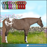 Horse Color:Liver Red Dun Varnish Brindle 