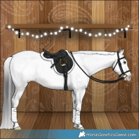 Horse Color:Liver Red Dun Appaloosa Brindle 