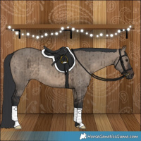 Horse Color:Brown Dun Brindle 