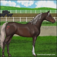 Horse Color:Silver Brown 