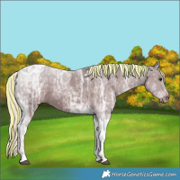 Horse Color:Painted Silver Smoky Black Ice Tobiano
