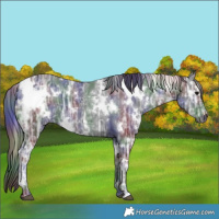 Horse Color:Nacre White Spotted Black Ice 