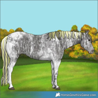 Horse Color:Painted Smoky Black Ice Tobiano 