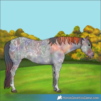 Horse Color:Nacre Black Ice Tobiano 