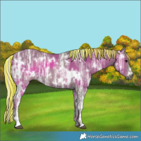 Horse Color:Painted White Spotted Silver Smoky Black Ice 