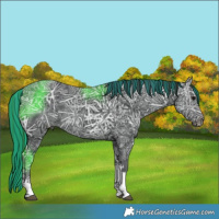 Horse Color:Painted Black Ice Tobiano 