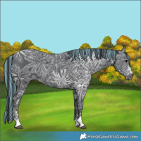 Horse Color:Painted Black Ice 