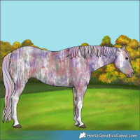Horse Color:Nacre Silver Black Ice Tobiano 
