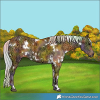 Horse Color:Nacre White Spotted Silver Smoky Black Ice 