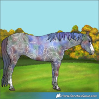 Horse Color:Nacre Black Ice 