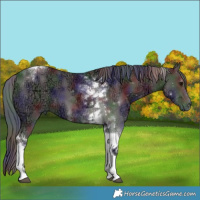 Horse Color:Nacre Smoky Black Ice Tobiano 