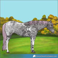 Horse Color:Painted Smoky Black Ice Tobiano 