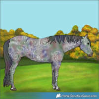 Horse Color:Nacre Black Ice 
