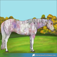 Horse Color:Nacre Silver Smoky Black Ice Tobiano 
