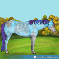 Horse Color:Painted Black Ice 