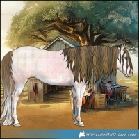 Horse Color:Plaid  Classic Champagne Ice Dun Splash Rabicano 