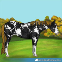 Horse Color:Painted White Spotted Black Ice 