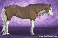 Horse Color:Silver Black Splash 