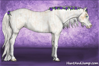 Horse Color:Cremello Sabino  and Palomino Pearl Sabino 