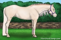 Horse Color:Silver Sable Cream Champagne Pearl 