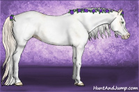 Horse Color:White Spotted Gold Cream Champagne 