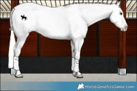 Horse Color:Silver Buckskin Tobiano Varnish 
