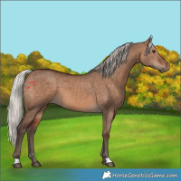Horse Color:Silver Brown Dun 