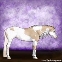 Horse Color:Chocolate Palomino Pearl Tobiano Frame  and Chocolate Palomino Pearl Splash Tobiano Frame 