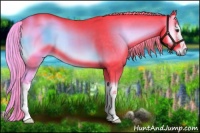 Horse Color:Watercolor White Spotted Liver Red Onyx 