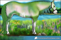 Horse Color:Watercolor White Spotted Liver Red Onyx 