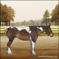 Horse Color:Liver Chestnut Tobiano