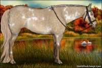 Horse Color:White Spotted Chocolate Palomino Roan Dun 