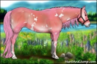 Horse Color:Watercolor White Spotted Liver Red Onyx Rabicano 