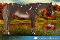 Horse Color:White Spotted Liver Chestnut Tobiano