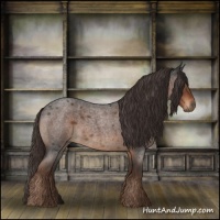 Horse Color:Liver Red Roan 