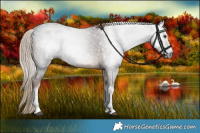 Horse Color:Gray Liver Chestnut Tobiano