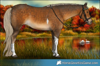 Horse Color:Chocolate Palomino Tobiano