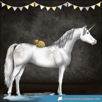 Horse Color:Gray White Spotted Silver Buckskin Dun Sabino Splash Brindle