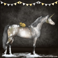 Horse Color:Gray White Spotted Brown Dun Sabino Brindle 
