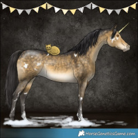 Horse Color:White Spotted Buckskin Dun Sabino