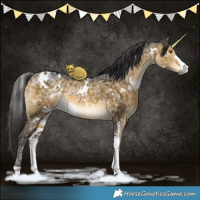Horse Color:White Spotted Buckskin Ice Dun Sabino Brindle 