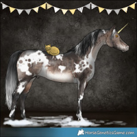 Horse Color:White Spotted Brown Dun Mushroom Brindle 
