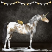 Horse Color:White Spotted Buckskin Dun Mushroom Tobiano Brindle 