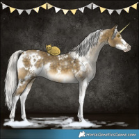 Horse Color:White Spotted Silver Buckskin Dun Splash 