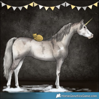 Horse Color:Silver Brown Ice Onyx Sabino 