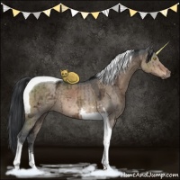 Horse Color:Brown Ice Dun Sabino Tobiano Brindle 