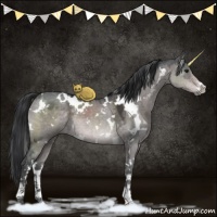 Horse Color:Platinum White Spotted Brown Ice Dun Sabino 