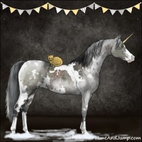 Horse Color:White Spotted Grullo Ice Sabino Brindle 